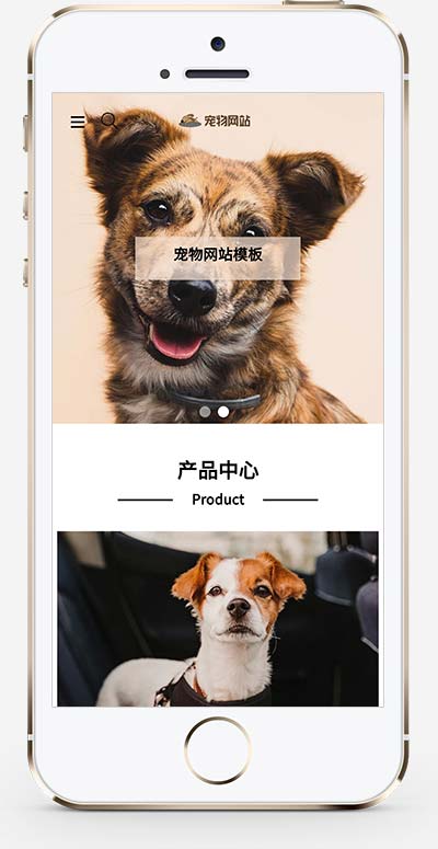 (自适应手机端)宠物商店宠物装备类网站模板 宠物网站源码下载