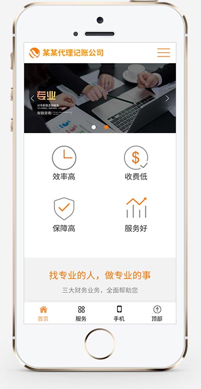 (自适应手机版)响应式代理记账财政咨询服务类网站模板 html5财务会计类网站源码下载